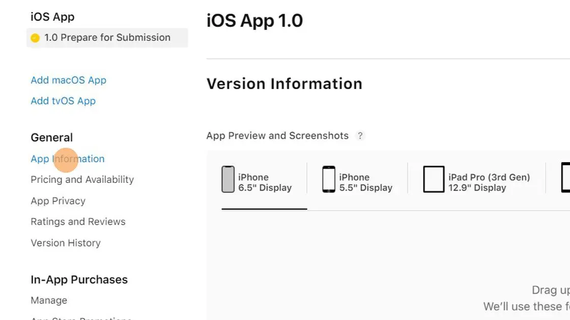 Click 'App Information'
