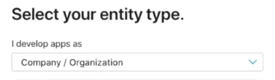 A screenshot of the organization type dropdown.