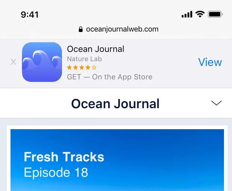 A screenshot of a website in Safari with a smart app banner at the top of the screen, including the button "View".